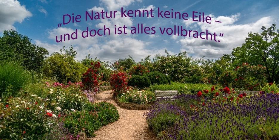 Weg durch einen Garten