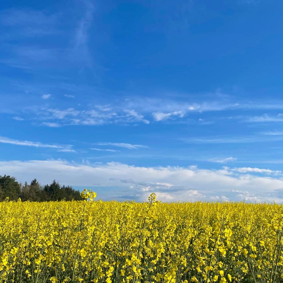 Pfarreiengemeinschaft Schmelz