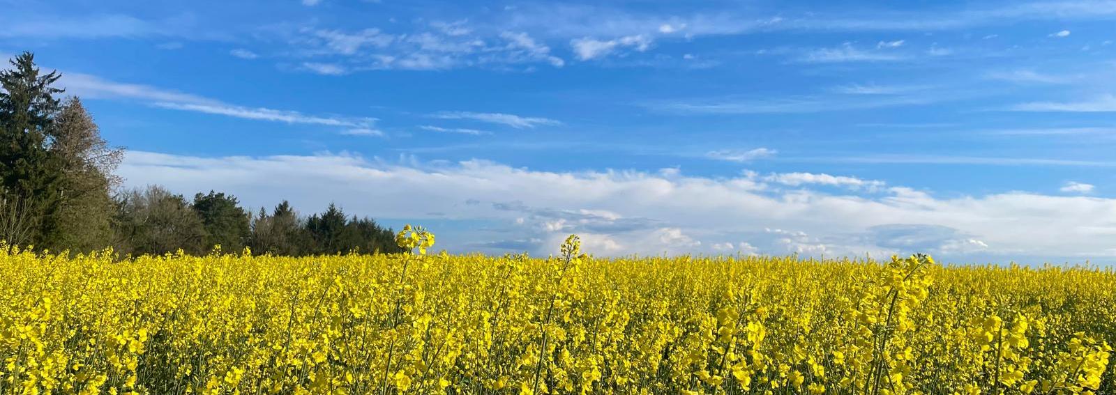 Pfarreiengemeinschaft Schmelz