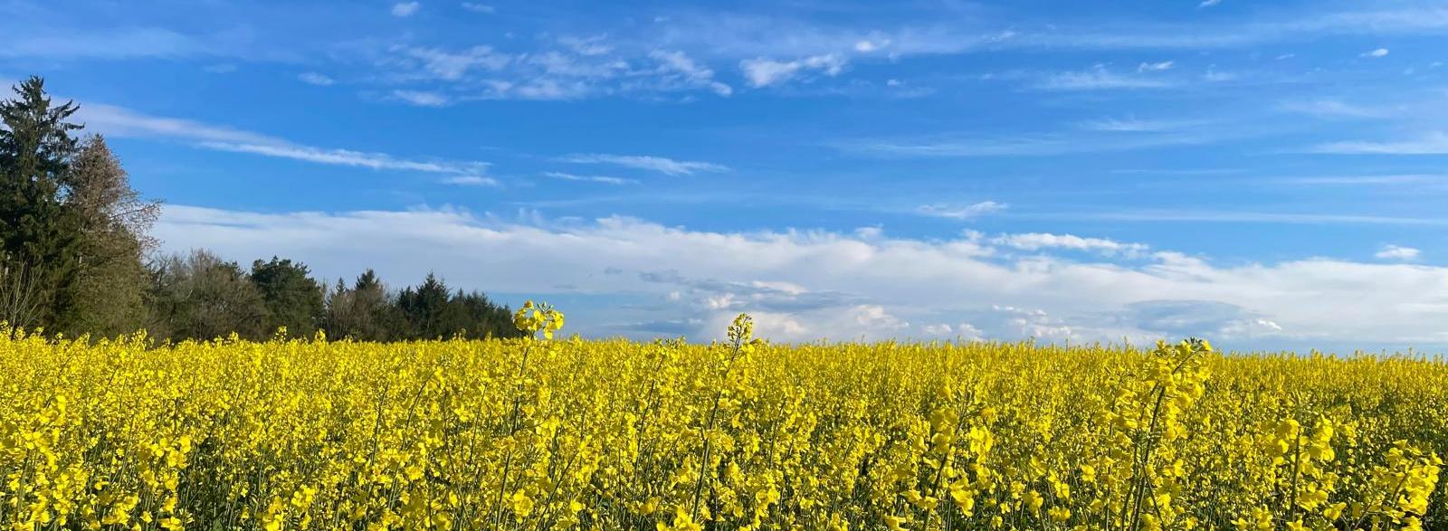 Pfarreiengemeinschaft Schmelz