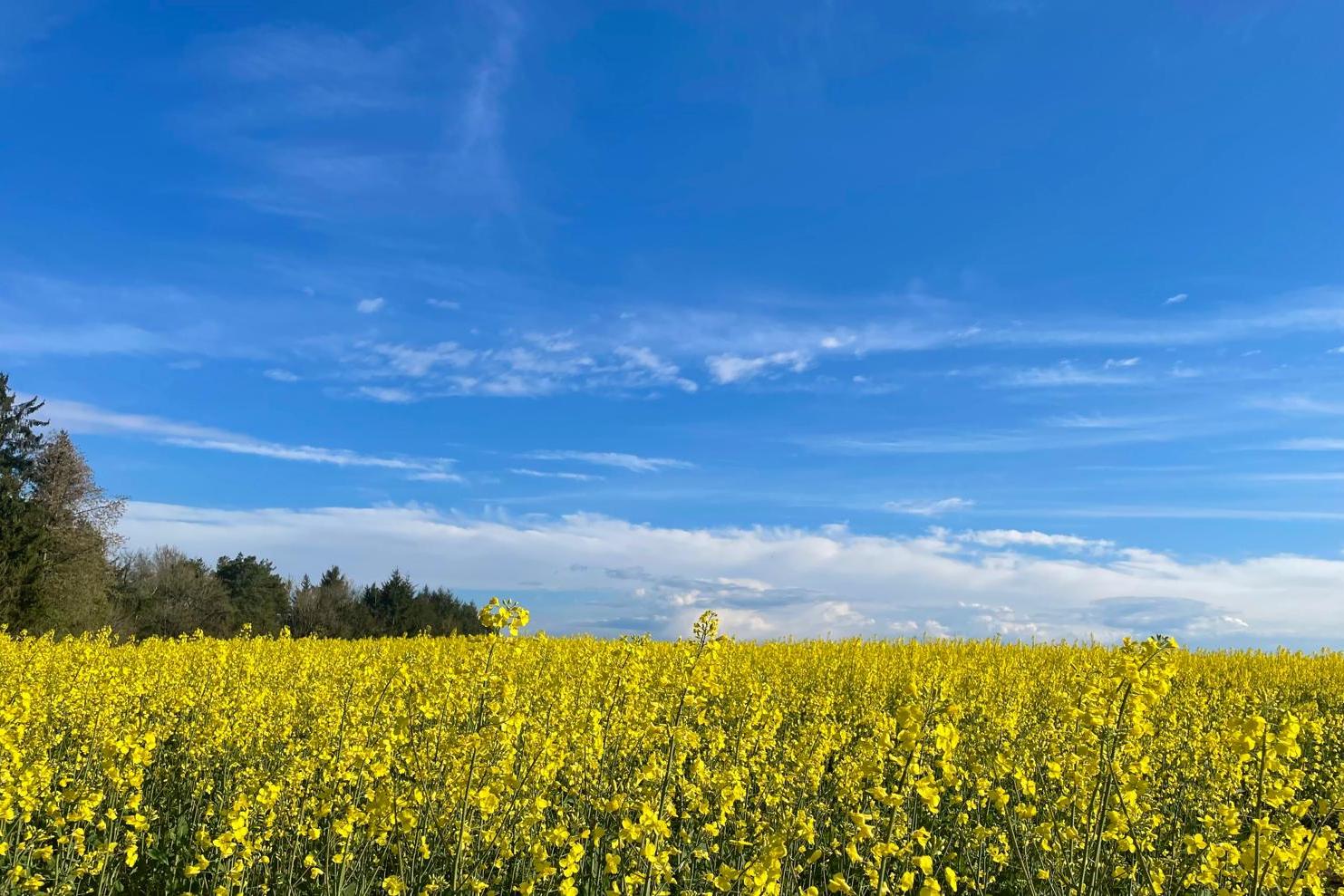 Pfarreiengemeinschaft Schmelz