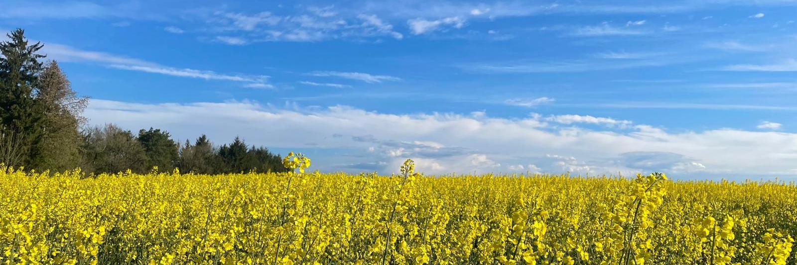 Pfarreiengemeinschaft Schmelz