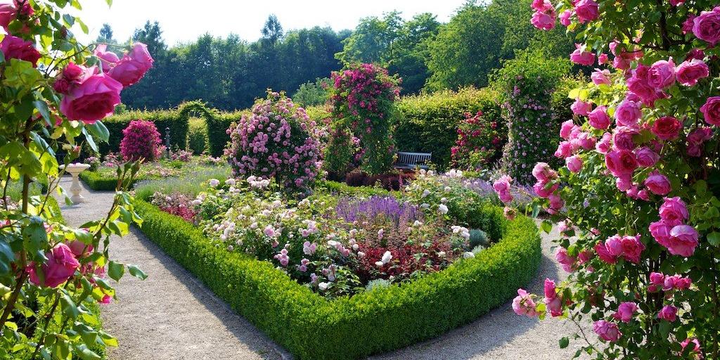 Blick in den Garten